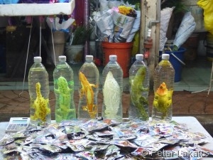 ...bis zum aberwitzigsten Schnick Schnack, gibt es auch Elektronikartikel und Lebensmittel auf dem Nachtmarkt in China Town