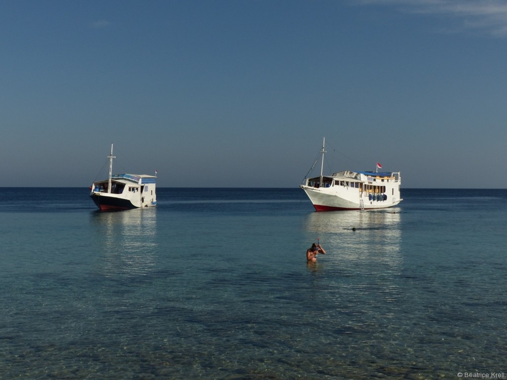 Boote unserer Komodotour