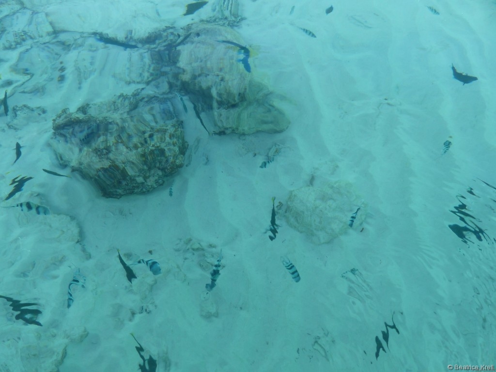 ... und glasklares Wasser machen diesen Ort einfach magisch. (Unterwasserbilder gibt es unter: http://www.mplx.de/Blog)