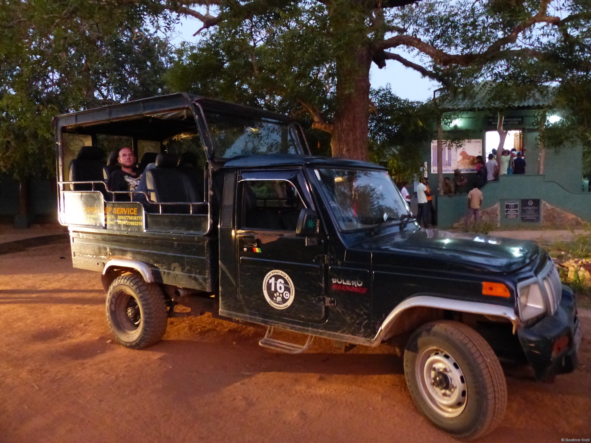 Safari-Jeep